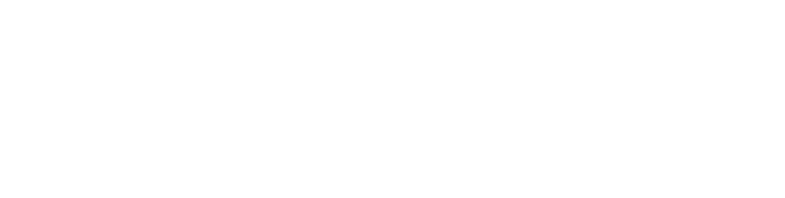 Travelski