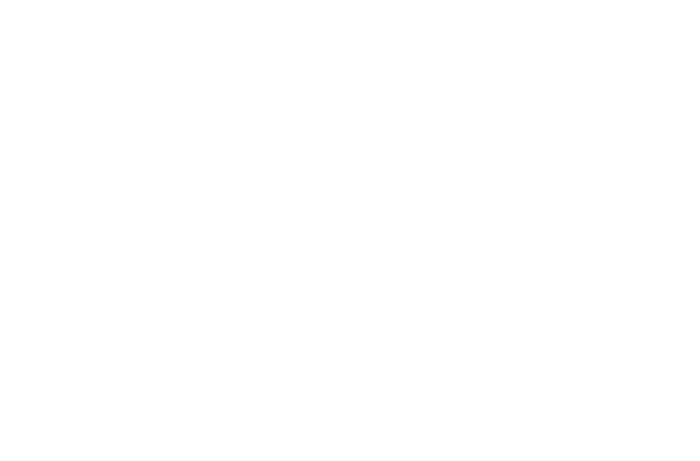 Forocoches
